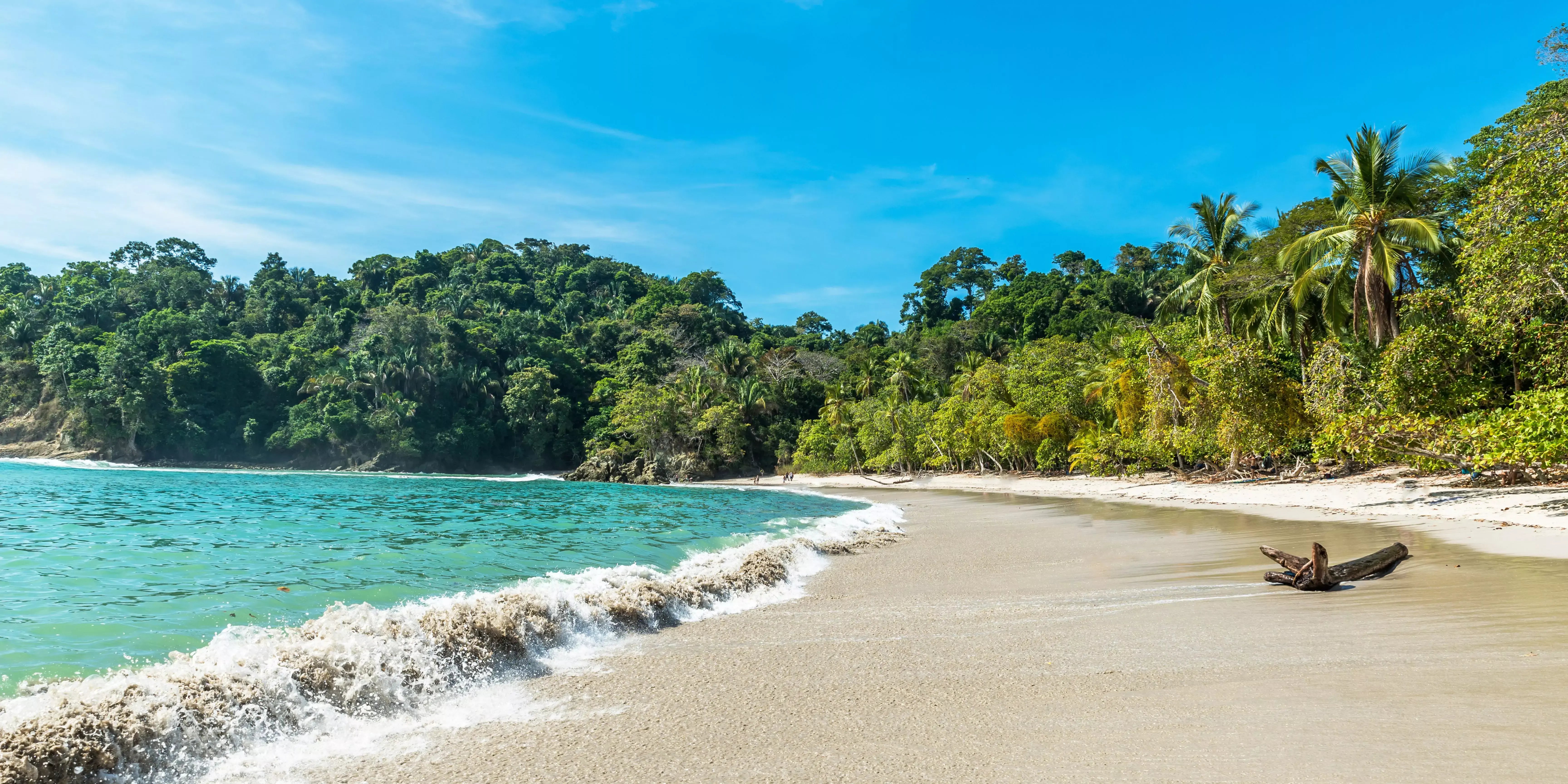 Tropischer Strand in der Karibik mit türkisem Wasser, umgeben von dichtem Regenwald und Palmen unter blauem Himmel. Perfekte Destination für Strandurlaub und Naturerlebnisse